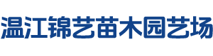 锦艺苗木,成都老字号餐饮企业,本土老妈蹄花标杆